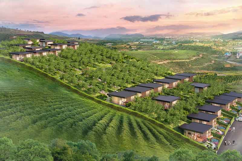 đất nền lâm hà 8
