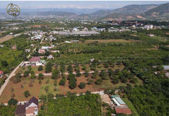 Tân Hà