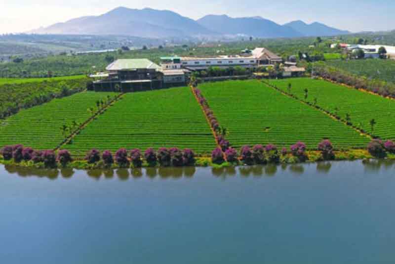 nhà đất lâm hà 6